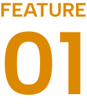 FEATURE 01