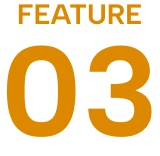 FEATURE 03